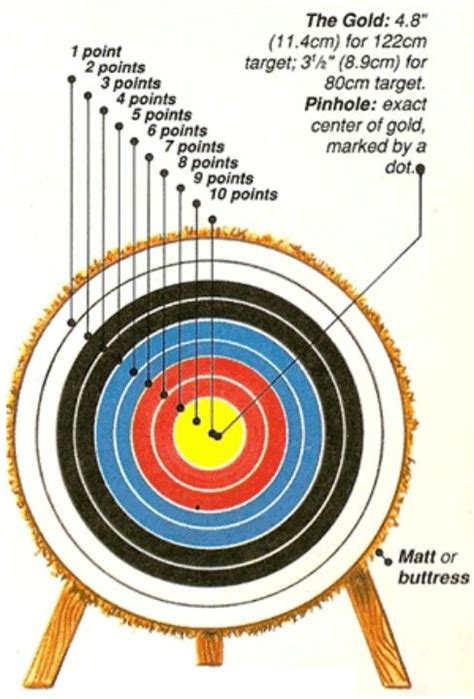 Pin By Katniss Everdeen On Archery Archery Target Archery