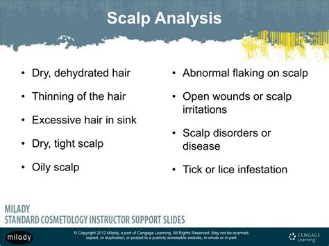 Ppt Chapter 15 Scalp Care Shampooing And Conditioning Powerpoint