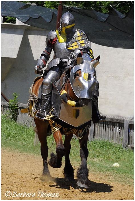Medieval Knights On Horses