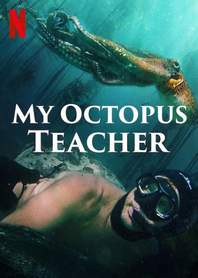 It is important to remember this when we evangelize god's word. 'My Octopus Teacher' and the God-shaped hole in every ...