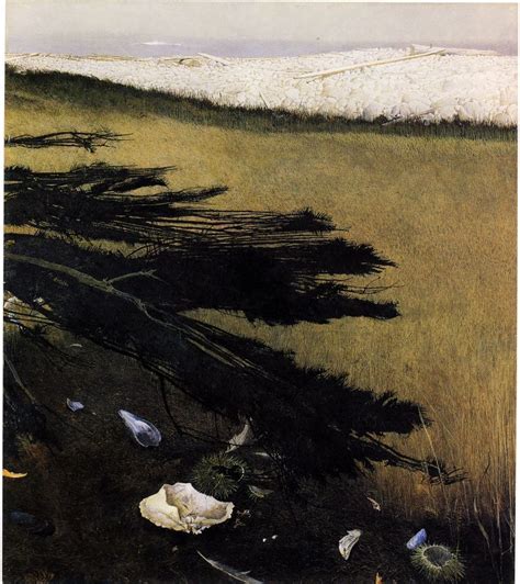 Andrew Wyeth Sea Urchins Crab Shell Pine Andrew Wyeth Paintings