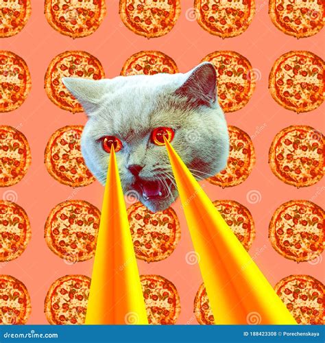 Pizza Addict Cat With Lasers From Eyes Animal Fun Collage Art Stock