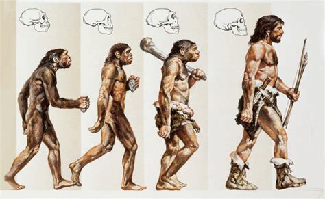 Teori Evolusi Pengertian Sejarah Dan Tokoh Pencetusnya Kajian Siswa