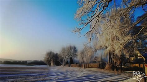 Wallpaper Sunlight Landscape Sky Snow Winter Branch Ice