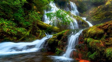 Natural Beauty Panther Creek Falls Columbia River District Skamejnija