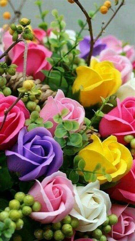 Kompaniya fiori flower company ⭐ , ⓜ ploscha lva tolstoho, ukraine, kyiv, baseina street, 4: Flori frumoase | Trandafiri cățărători, Flori exotice ...