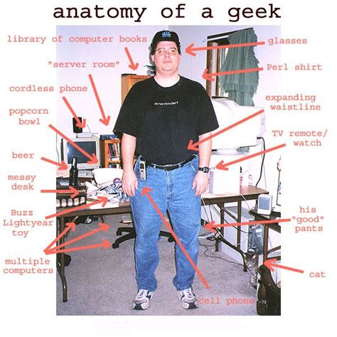 Anatomy Of Geek Geek Stuff Sexy Geek Geeks Vs Nerds