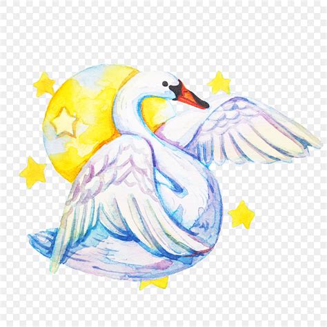 Cartoon Swan Illustration Clipart Png Vector Psd And Clipart With