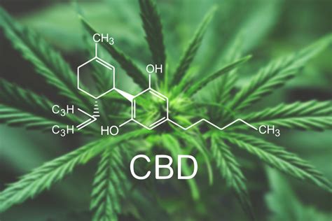 Check spelling or type a new query. CBD Products in Michigan Will Now be Regulated Under Medicinal Cannabis Rules