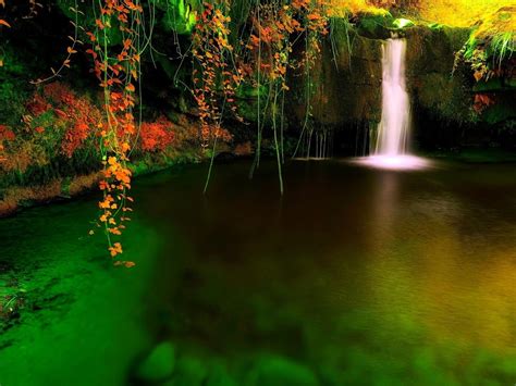 Forest Waterfall Cave Hd Desktop Wallpaper Preview