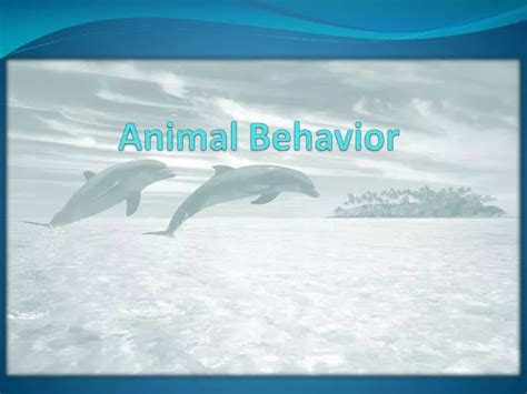 Ppt Animal Behavior Powerpoint Presentation Free Download Id3062164