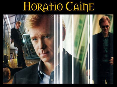 Horatio Caine David Caruso Photo 22522600 Fanpop