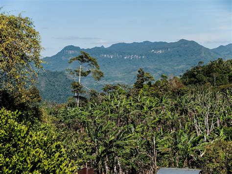 Bosawas Biosphere Reserve In Nicaragua Info