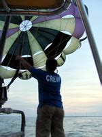 Where are parrot eyes on south padre island? Parasailing on South Padre Island