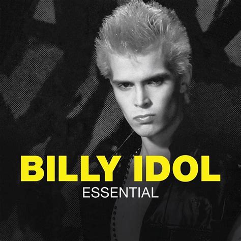 Essential Billy Idol Cd Album Muziek