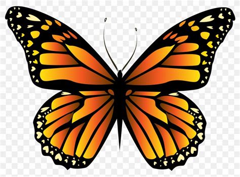 Monarch Butterfly Insect Orange Clip Art Png 6423x4763px