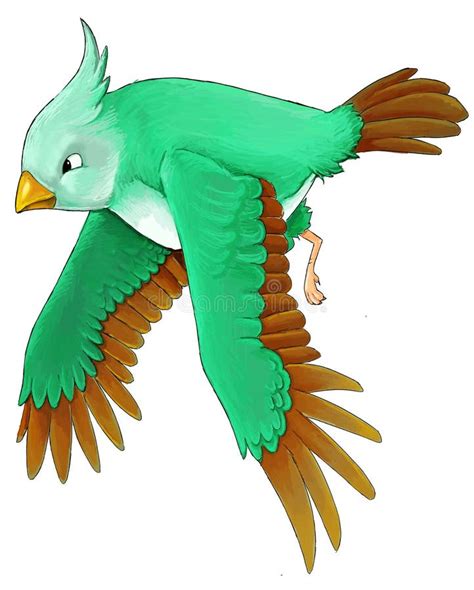 Cartoon Exotic Colorful Bird Flying Isolated Illustration Stock