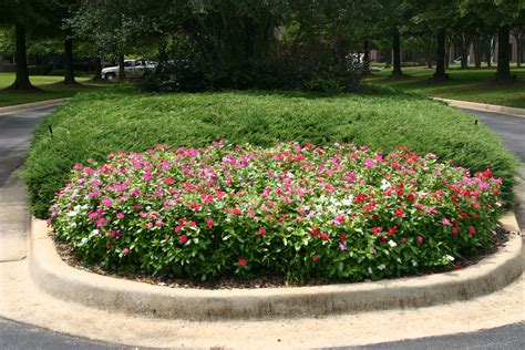 Commercial Landscaping Installed And Maintained By Grounds Control Debris Removal Commercial