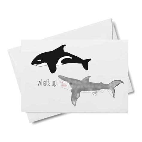Where to buy our customer service office is closed to the public. Shark and Orca Note Cards - BeBeBlu Designs