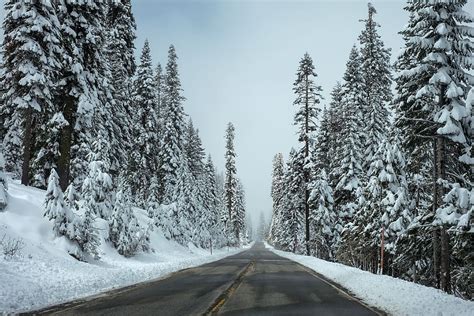 Snow Cold Winter Trees Forest Road Highway Blue Sky Cold