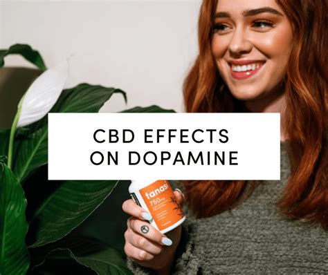 Cbd Effects On Dopamine Everything You Need To Know