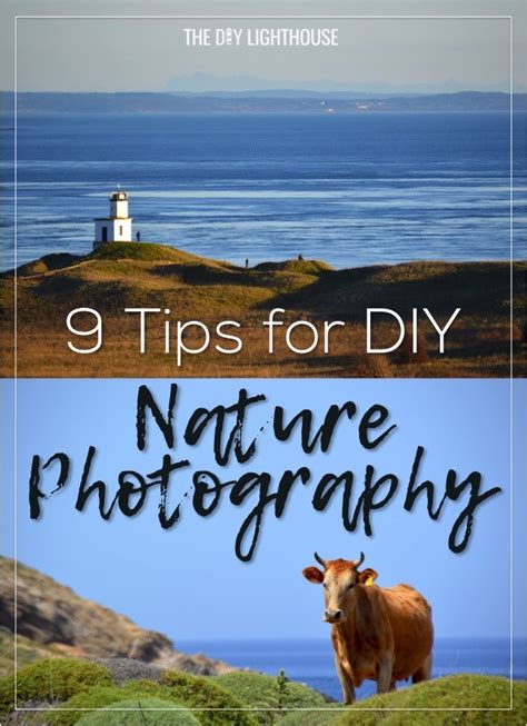 9 Tips For Diy Nature Photography How To Take Picture Outdoors And