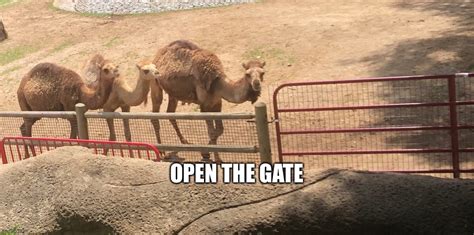 Open The Gate Imgflip