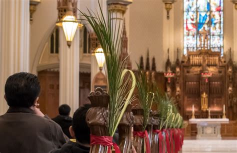 Joyous Faithful Celebrate Palm Sunday Todays Catholic