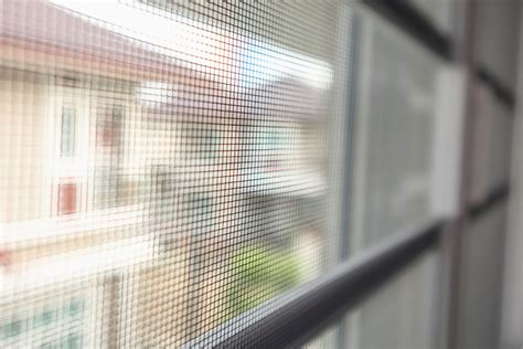 5 Types Of Screens For Your Window