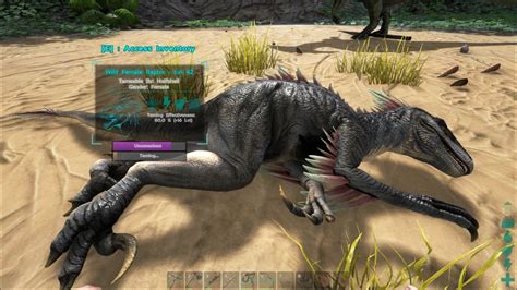 Ten Ton Hammer Taming A Raptor In Ark Survival Evolved