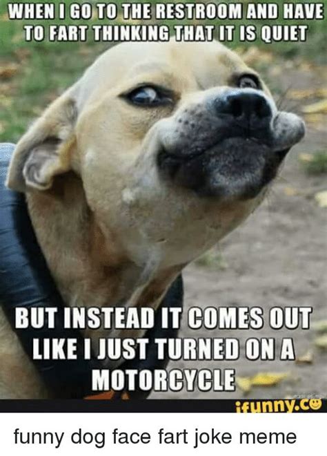 Take The Unbelievable Funny Dog Memes I Thought I Am Going To Fart