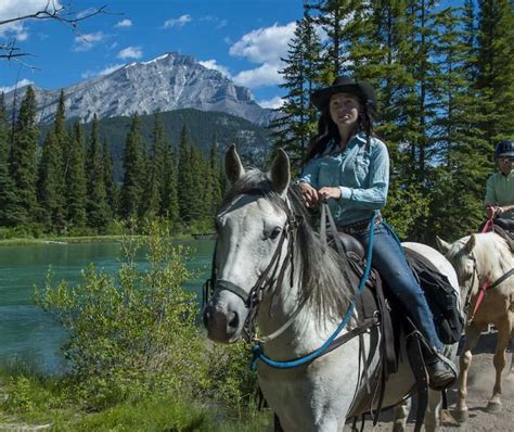 Banff Hourly Trail Rides Banff Trail Riders Official Website