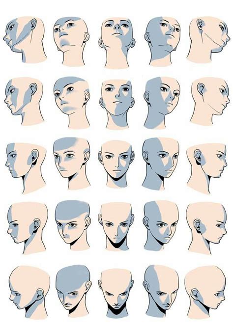 Details 71 Anime Head Drawing Reference Super Hot In Coedo Com Vn