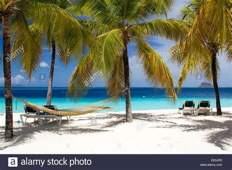 Stunning Tropical Beach Scene With Hammock Sun Loungers