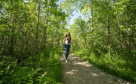 Healing In The Forest A Guide To Forest Bathing