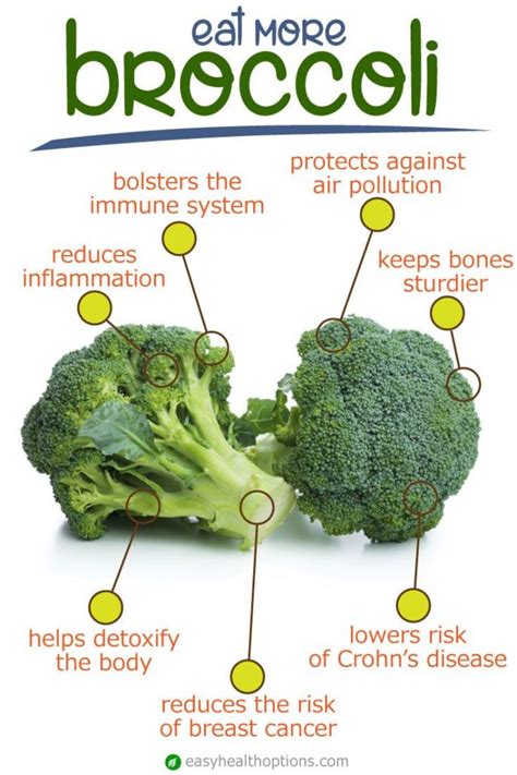Healthy Eating Tips Broccolis Role In Fighting Cancer Amaica The