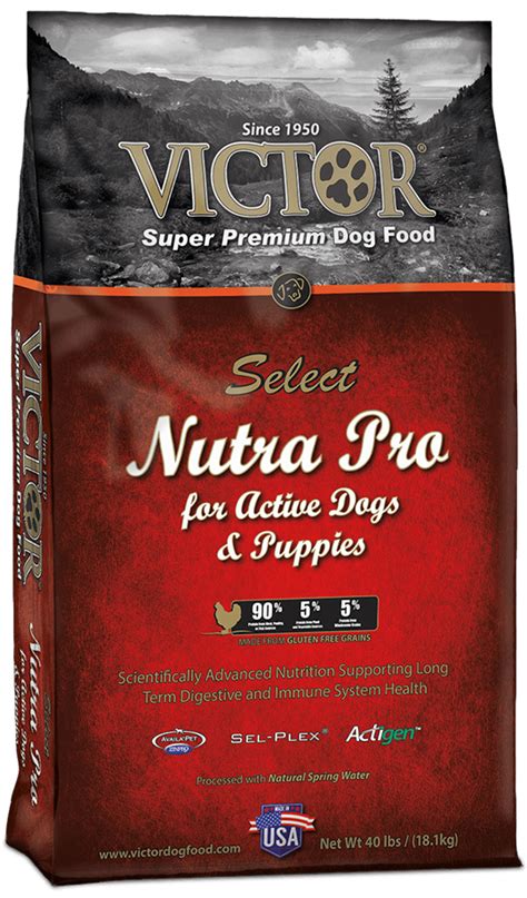 Also for pregnant and nursing mothers. 5 Best Giant Breed Puppy Food 2020 - Guide And Reviews