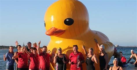 Cuack La Fuga Y Captura De Un Pato De Hule Gigante Sopitas Com