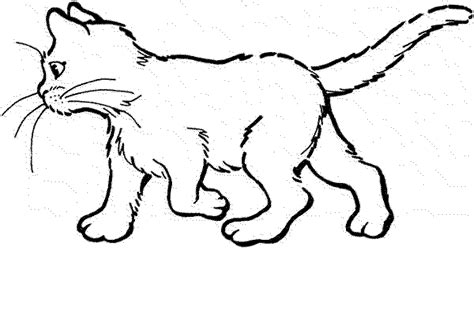 Kitty Cat Colouring Pages Page 2. Baby Cat Coloring Pages Coloring