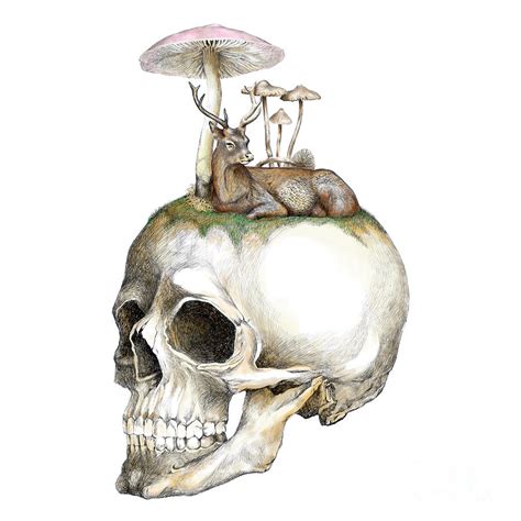 Skull And Mushrooms Digital Art By Jakarin Prawatruangsri Fine Art