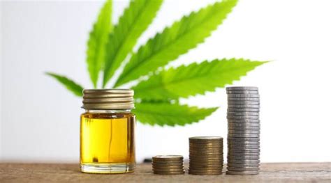 How to Legally Launch Your CBD Business in 2021 - Cannabis ...