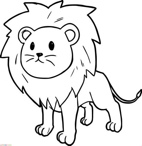 35 Belajar Menggambar Hewan Singa Paling Mudah Belajar Mewarnai