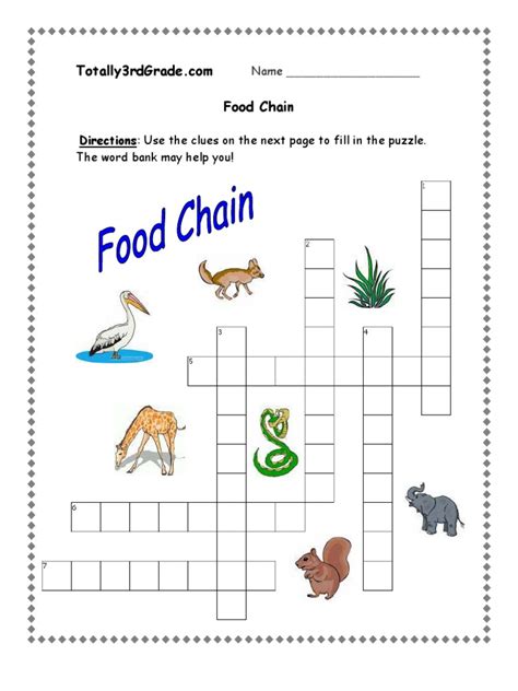 What is a food chain?a food chain is a flow of energy from a green plant to an animal and to another animal and so on. 3rd Grade | Food Chain Worksheet