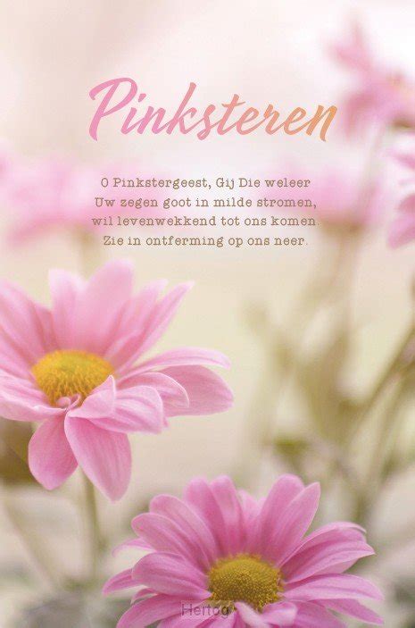 The name of the festival comes from a combination of pinksteren, the dutch word for pentecost, and pop music. Pinksteren - wenskaart gedicht - 65508656
