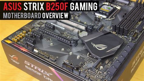 • upon purchase of the motherboard, ensure that any damage to the pnp cap/socket contacts/motherboard components. Best Non-Overclocking Motherboard? | ASUS ROG Strix B250F ...