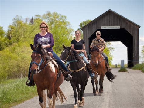 Horseback Ridingtrail Rides Broadleaf Ranch