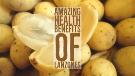 8 Amazing Health Benefits Of Lanzones