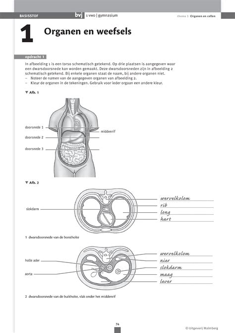 Biologie Voor Jou Hoofdstuk 3 1 Vwo BASISSTOF Thema 3 Organen En