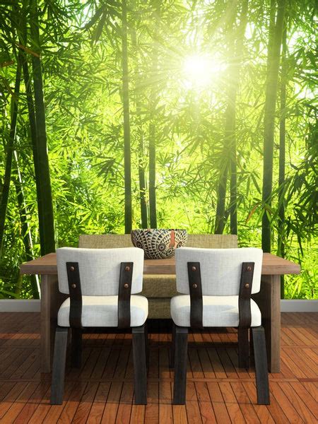 Konsep Terpopuler 45 Bamboo Forest Wall Mural