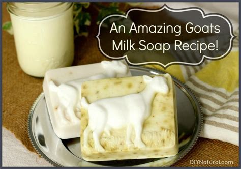 Learn How To Make Great Goat Milk Soap At Home 2022